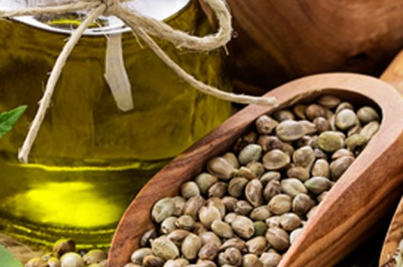 Hemp for Health in Mallorca