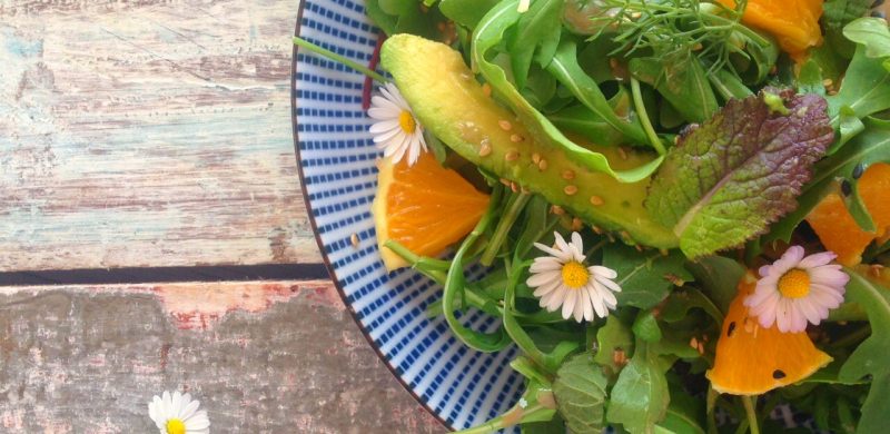 Detox Mallorca