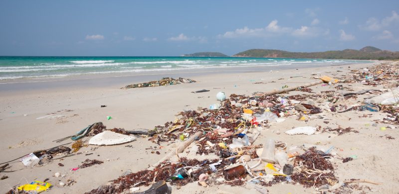 Rubbish washed up on the shore on the beach