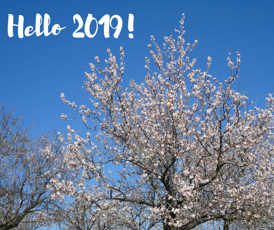 Hello 2019! Nourish The Guide Newsletter